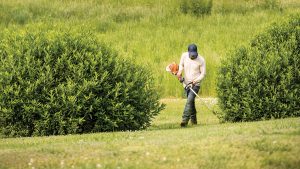 Target Landscapers